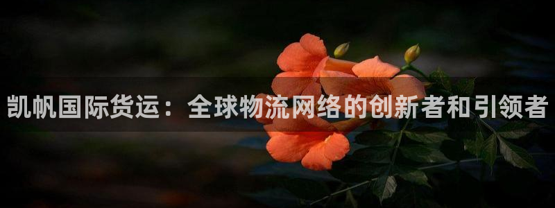 尊龙人生就是博旧版网址