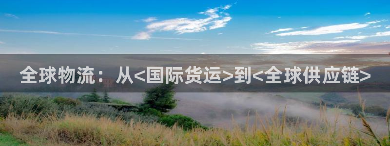 尊龙凯时能提现吗：全球物流：从<国际货运>到<全球供应链