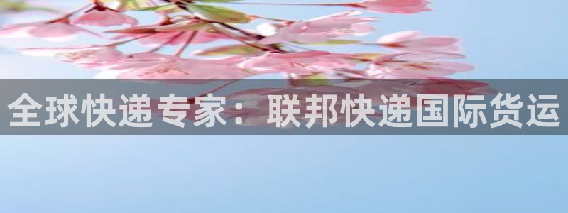 d88尊龙手机客户端下载：全球快递专家：联邦快递国际货运