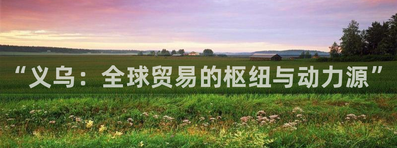 尊龙实业有限公司：“义乌：全球贸易的枢纽与动力源”