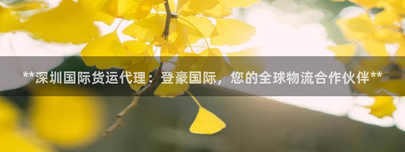 尊龙内地：**深圳国际货运代理：登豪国际，您的全球物流合