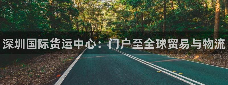 尊龙凯时链接：深圳国际货运中心：门户至全球贸易与物流