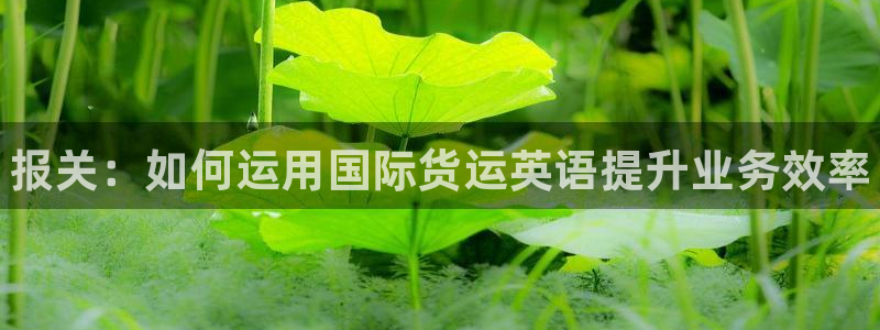 尊龙人生就是博登录首页：报关：如何运用国际货运英语提升业