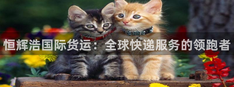 尊龙人生就是搏