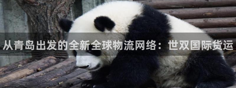 尊龙凯时z6官网：从青岛出发的全新全球物流网络：世双国际