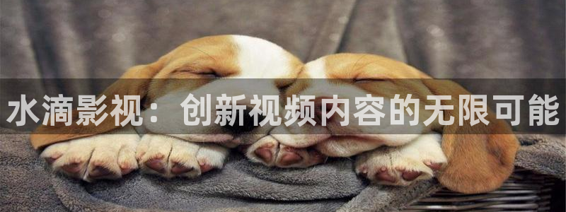 奇奇网影院：水滴影视：创新视频内容的无限可能