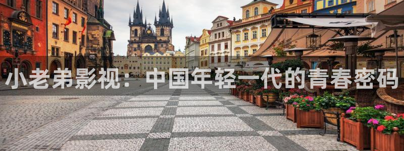 米奇奇米影视：小老弟影视：中国年轻一代的青春密码